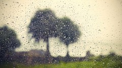 bigstock-Rain-52503988